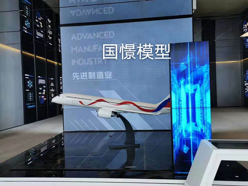 蠡县飞机模型