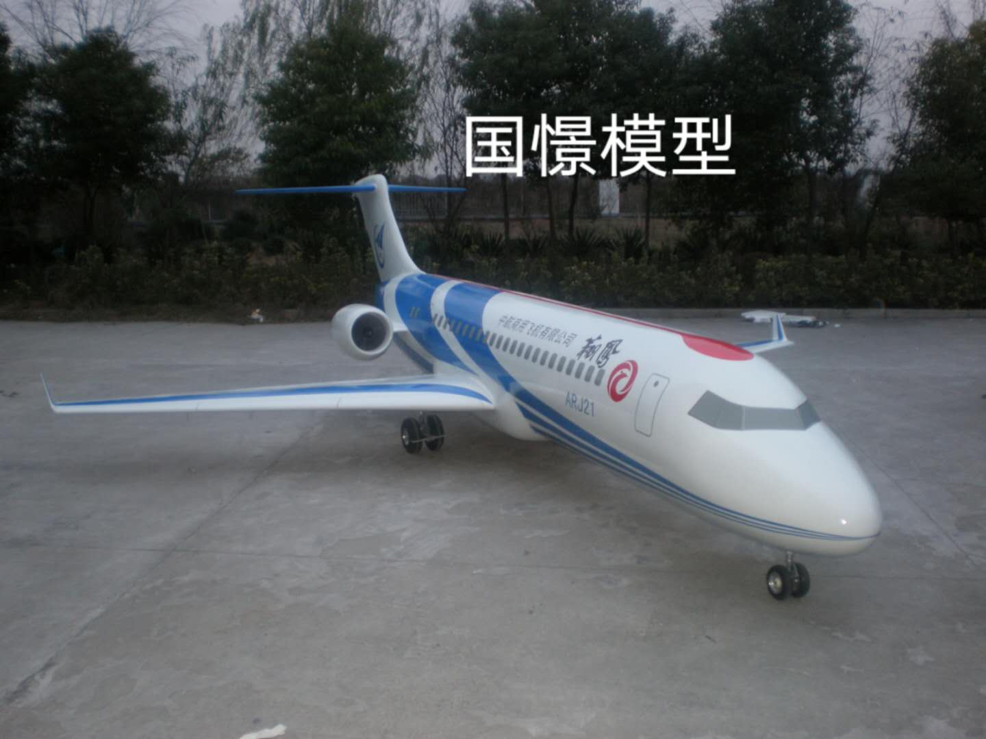 蠡县飞机模型