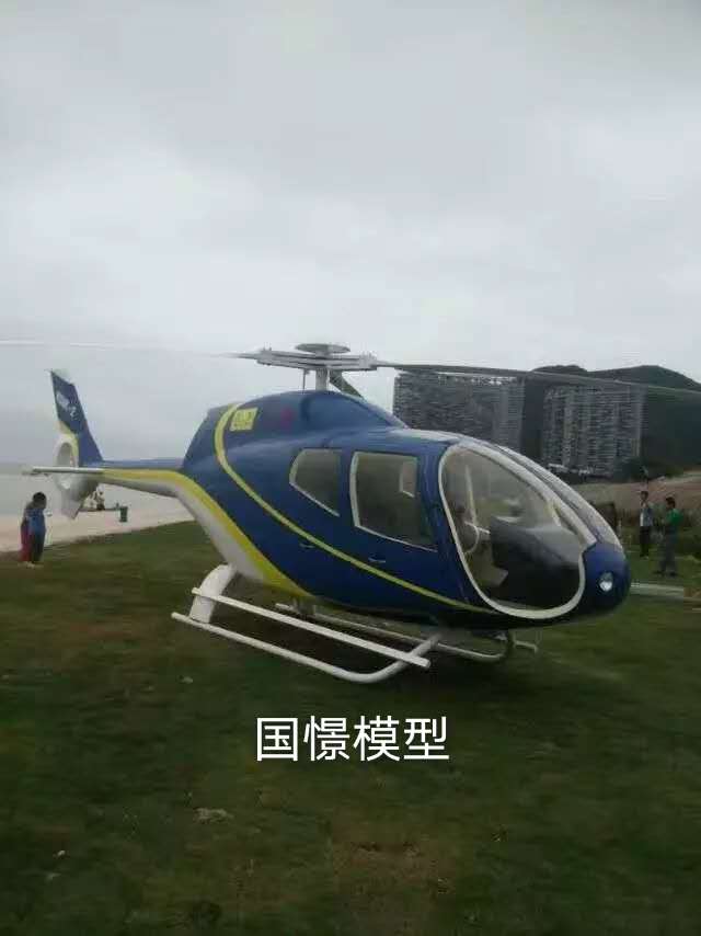 蠡县飞机模型