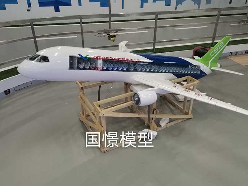 蠡县飞机模型