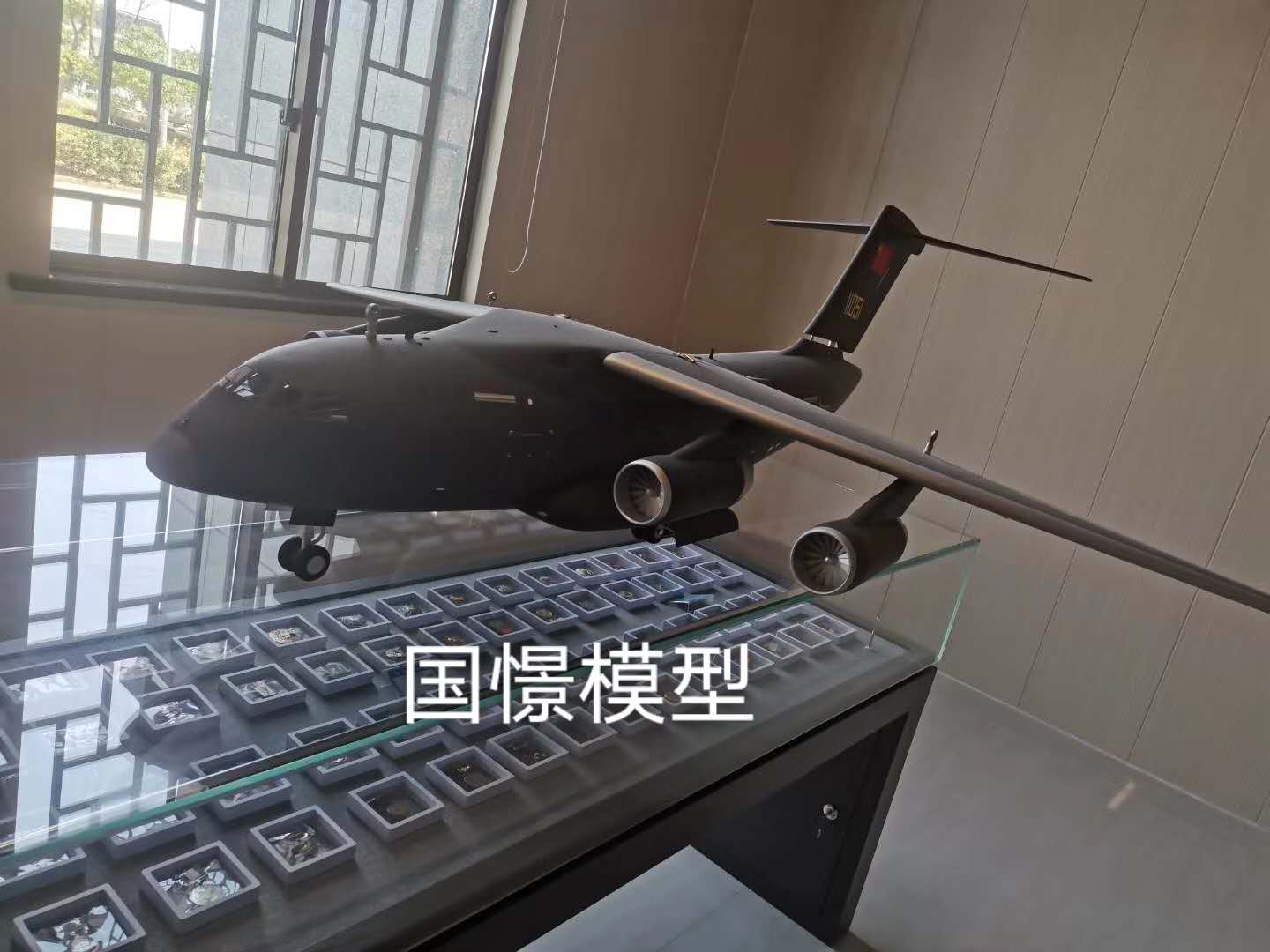 蠡县飞机模型