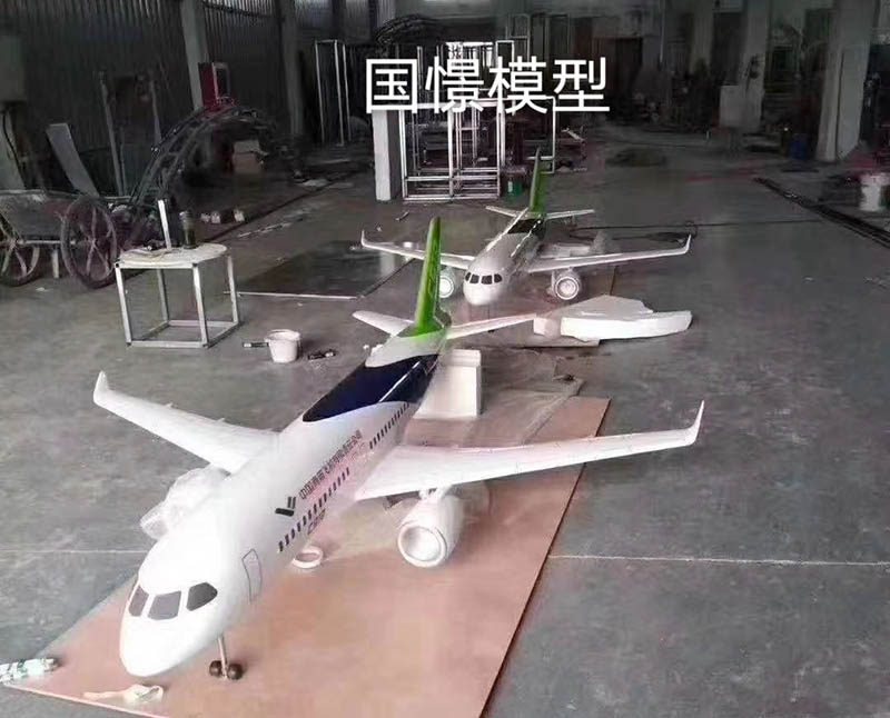 蠡县飞机模型