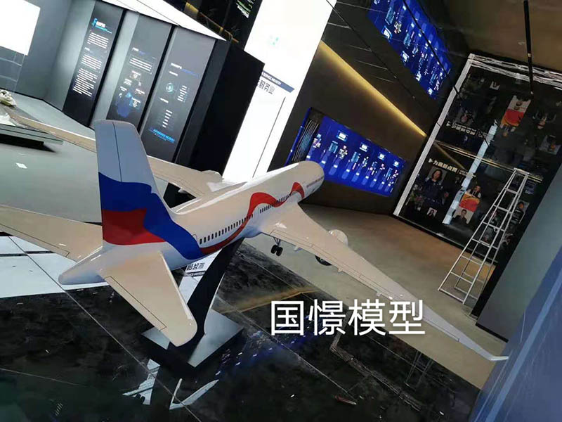 蠡县飞机模型