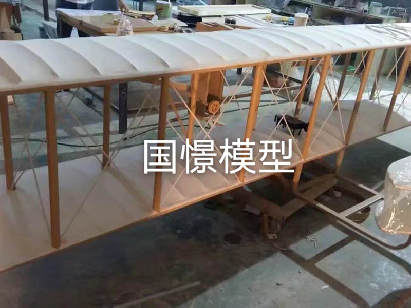 蠡县飞机模型
