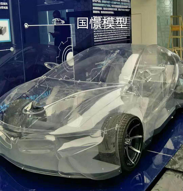 蠡县透明车模型