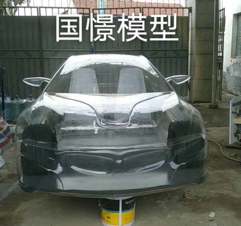 蠡县透明车模型