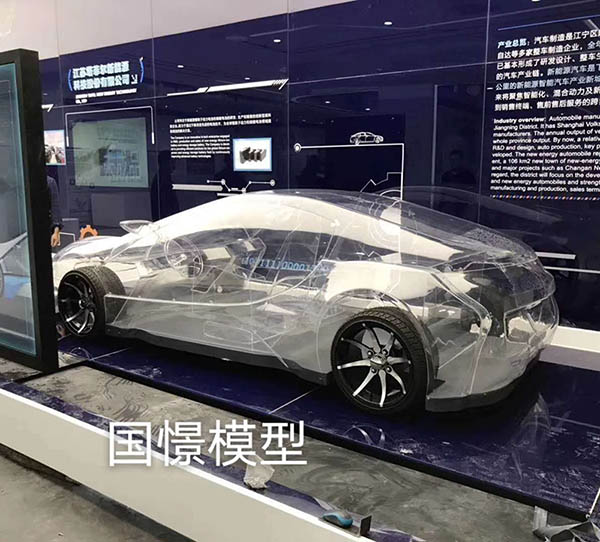 蠡县透明车模型