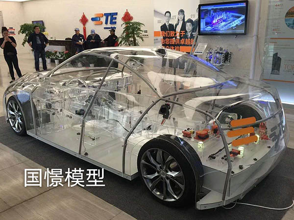 蠡县透明车模型